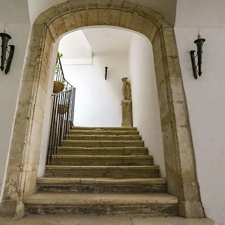 Nel Palazzo Del Re Nasone